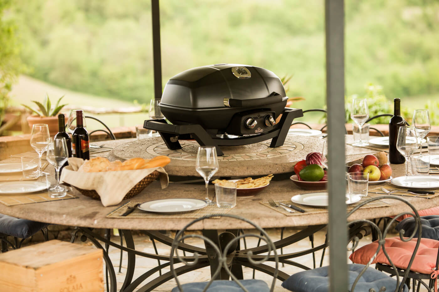 Exceptional Grilling Capabilities, on the GO!