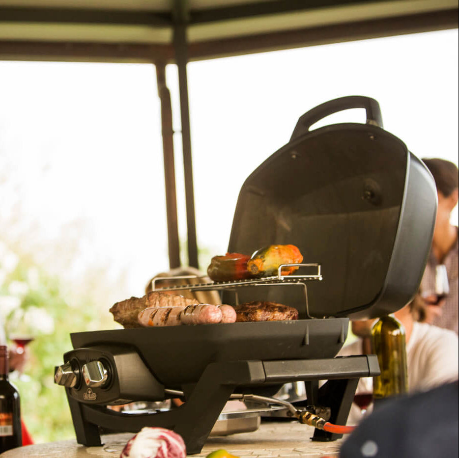 Napoleon TravelQ™ PRO285 Portable Gas Grill