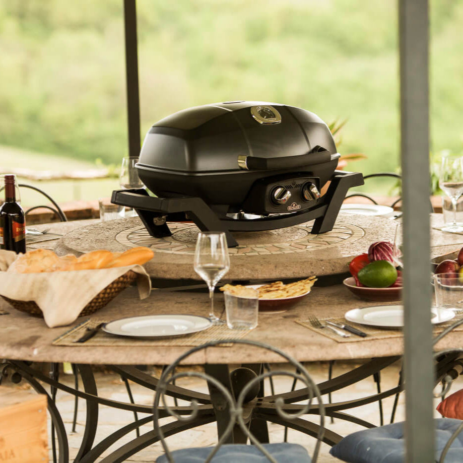 Napoleon TravelQ™ PRO285 Portable Gas Grill