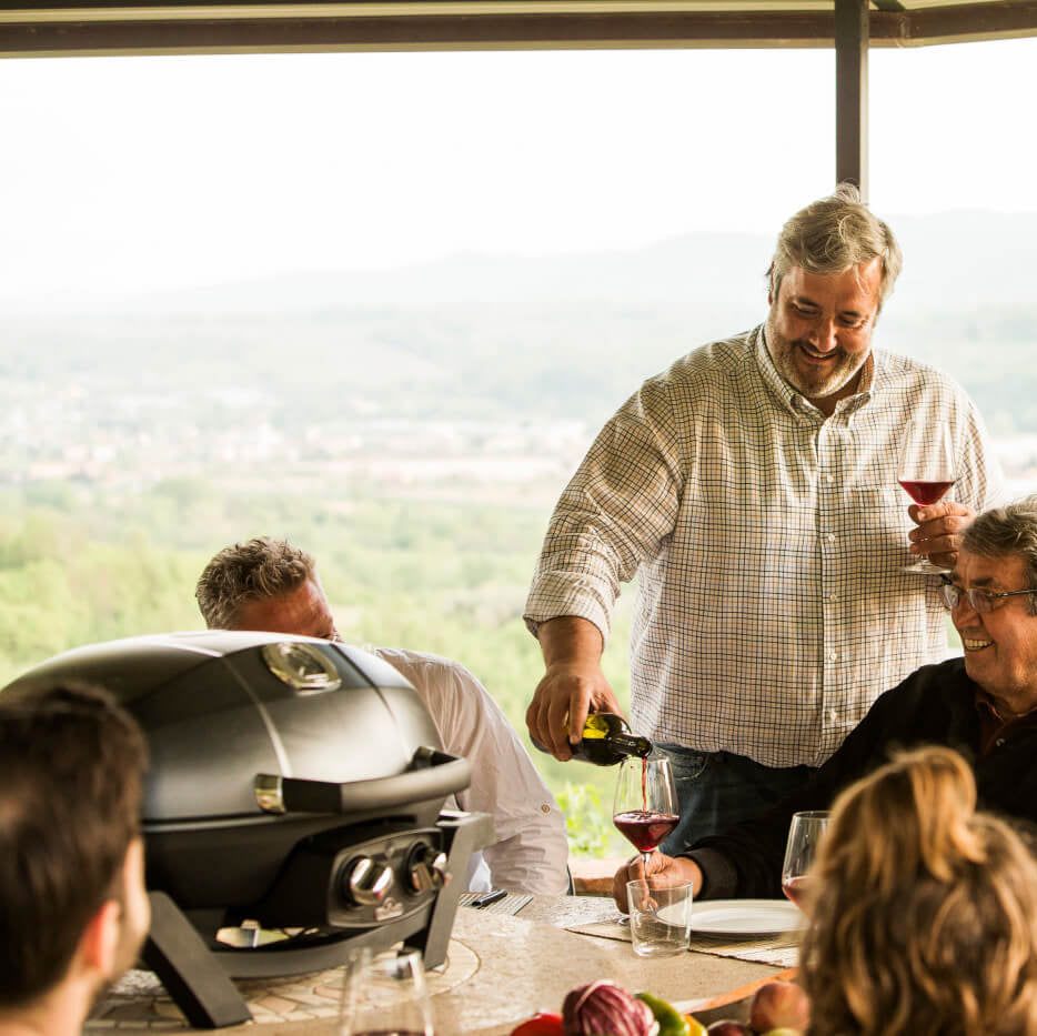 Napoleon TravelQ™ PRO285 Portable Gas Grill