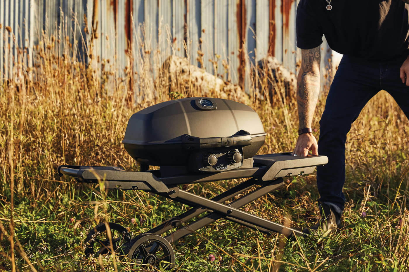 Napoleon Phantom TravelQ® PRO 285 with Scissor Cart , Propane